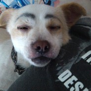 两年半，瞧，马，run,救