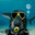 The Fish