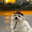 freakbob avatar