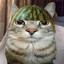 ˚4ᶻn. avatar