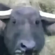 爱也不能回答所有的问题~~