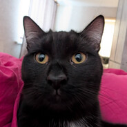 Jinada avatar