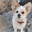 Ralu0105