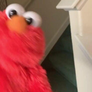 bob