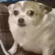 праздничный дикпик