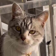 美少女壮士心仪