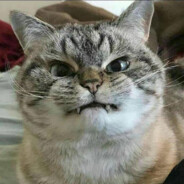 沉着冷静的胡老师