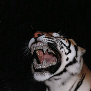 𝓙𝓪𝓶𝓪𝓵3k - steam id 76561199698872491