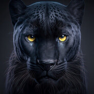 panther