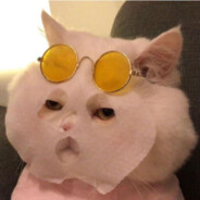 勇敢牛牛冲冲冲