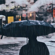 没事儿就吃溜溜梅