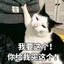 小陈