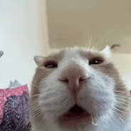 ilikelittlekids(Monster enjoyer)