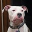 Bubba_Billy