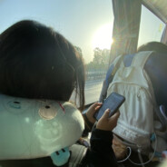 我的天赋你的努力