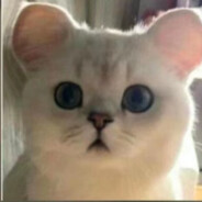 L]DKMOAwjdiouahwdmlda