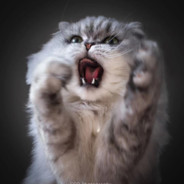 黑犀铠甲刘砍城