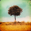 mightbeatree