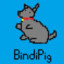 BindiPig