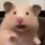 -25 mmr +1 report
