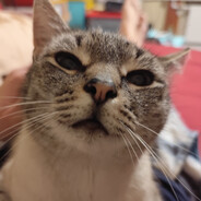 从天而降的战士