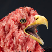 Mett Eagle