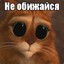 IIo3uTuB4uK