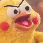 喵喵喵的喵喵喵