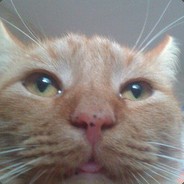 Толстый еблан