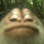 ElcabezadePoronga