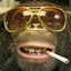 @Mr.Monkey@