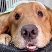 她没有回头……