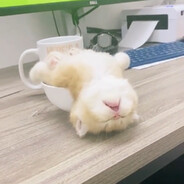 Hermoso Ángel