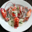 LobsterMilk