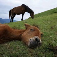 跳弹漏电命悬一线