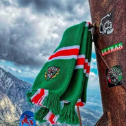 ɢʀᴇᴇɴ ᴄᴏʀꜱᴀɪʀ