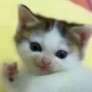 纯情丸宝火辣辣