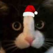 如果你需要鼓励的话