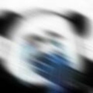 fired_goose avatar