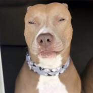 Xxcharlieworley360xX