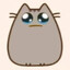 sad pusheen