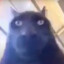 NevxWrld-