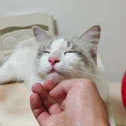 不要肘击我，我是孩子