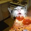 Pizza Cat