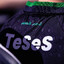 TeSeS