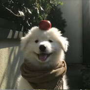 城北徐公没我美