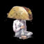 TacoHead