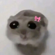 QQ农场打电话和我说我菜死了