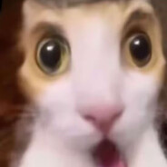 你就冲吧最后害的还是你自己