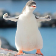 :)m00cny pingwinek:)